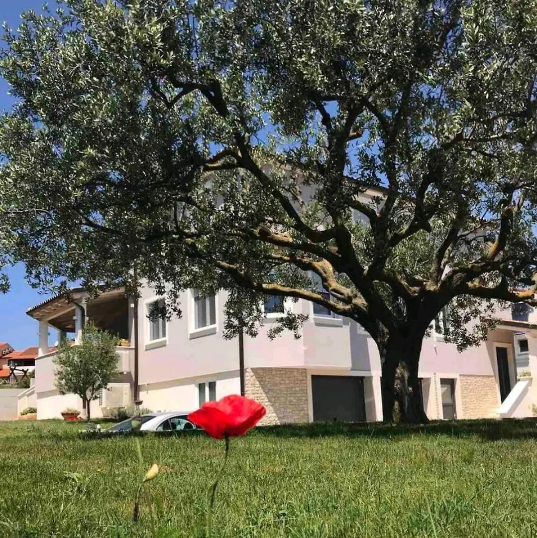 Apartments Melisa Pula